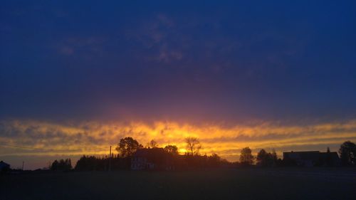 Silhouette trees on field against sky at sunset