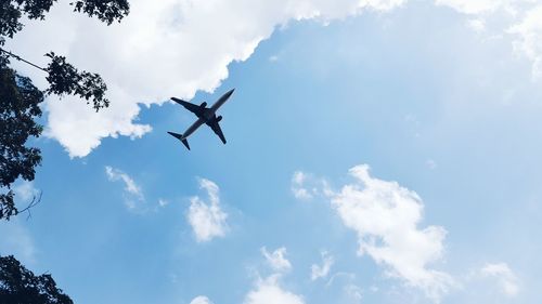 Low angle view of airplane flying in sky