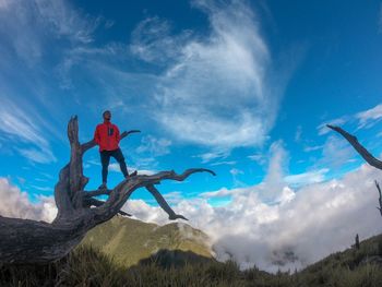 Low angle view of man against blue sky