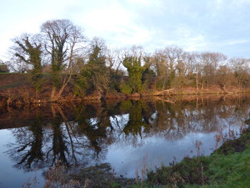 Reflection of trees in lake against sky