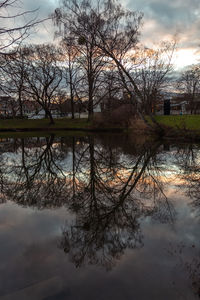 Reflection of bare trees in lake against sky