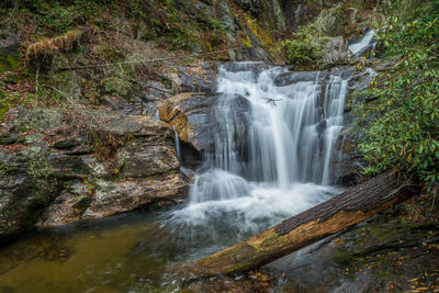 Waterfall in forest