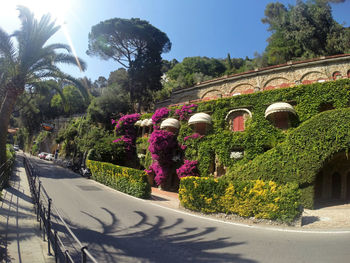 View of street amidst plants and road against sky