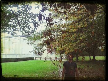 View of trees in park