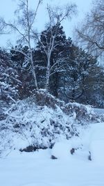 Scenic view of snow covered landscape