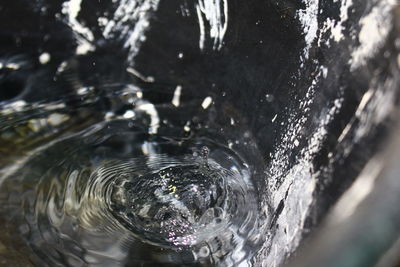 High angle view of bubbles in lake