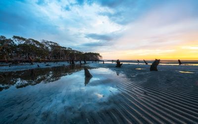 People on beach against sky during sunset