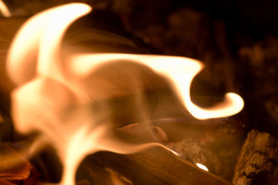 Close-up of bonfire burning at night