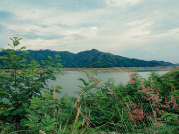 Scenic view of lake and mountains against sky