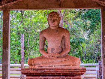 Statue of buddha against trees