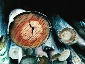 Close-up of logs