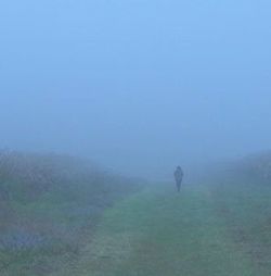 Man standing on field in foggy weather