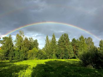 Scenic view of rainbow over trees against sky
