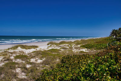 Scenic view of sea against clear blue sky