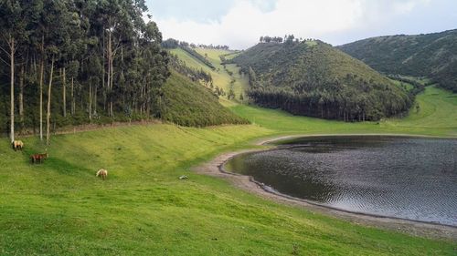 Scenic view of golf course against sky