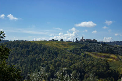 Panoramic view of agricultural field against sky