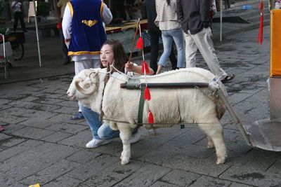 Woman crouching by sheep on footpath in city