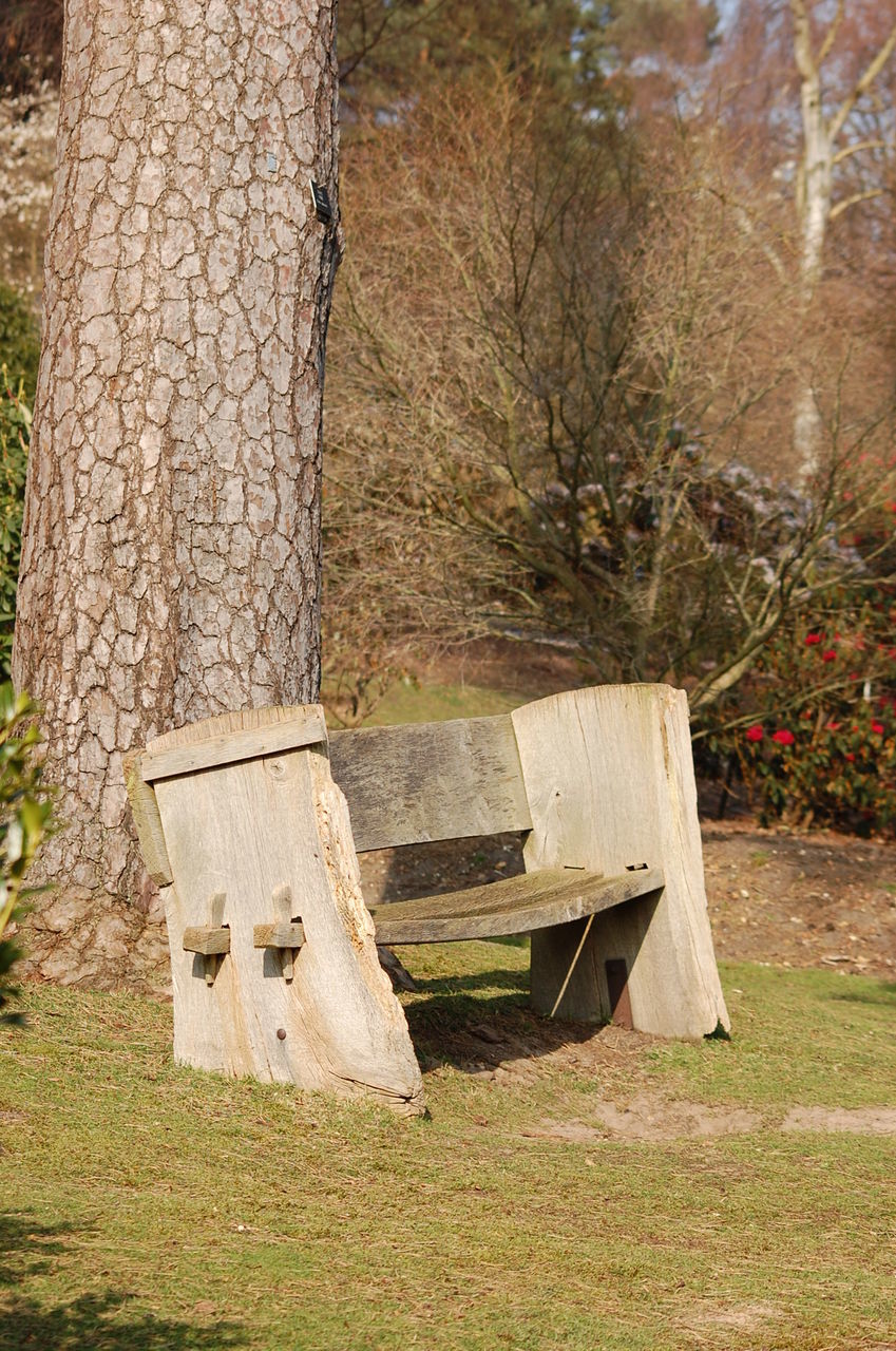 ABANDONED BENCH IN PARK