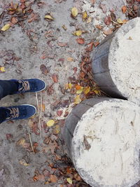 Low section of man standing on autumn leaves