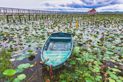 Row boats in lake sam roi yod national park,