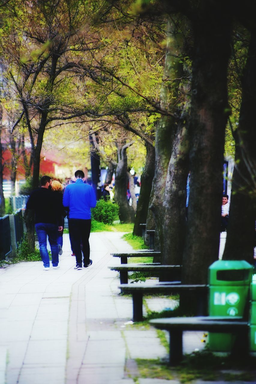 tree, full length, rear view, lifestyles, walking, men, leisure activity, person, casual clothing, footpath, park - man made space, green color, togetherness, bench, outdoors, growth, standing, the way forward