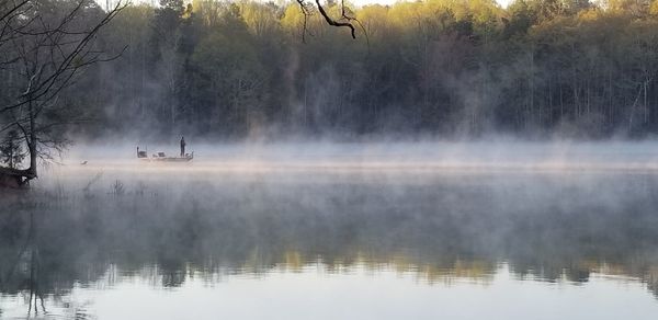 Scenic view of lake against trees