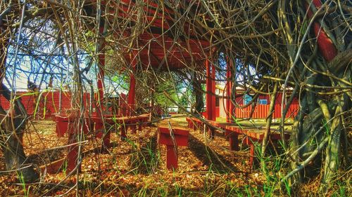 Built structure with trees in background