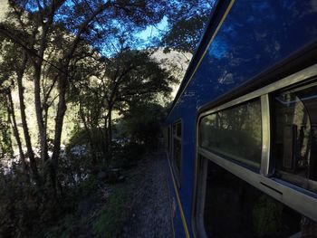 Railroad track amidst trees against sky