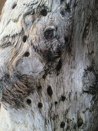 Extreme close up of abstract background