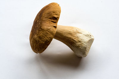 Close-up of bread against white background