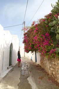 Rear view of woman walking on pink road amidst trees against sky