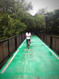 Rear view of man riding bicycle