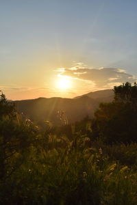 Scenic view of field against sky during sunset