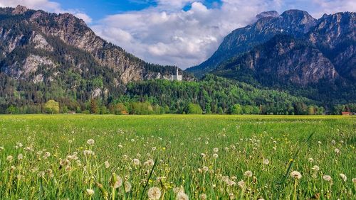 Scenic view of field and mountains against sky
