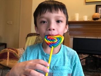 Portrait of boy holding ice cream at home