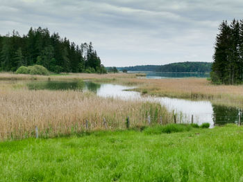 Scenic view of lake against sky