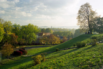 Tree and houses with sky in background