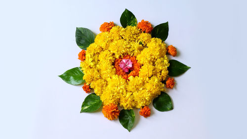 High angle view of yellow rose on white background