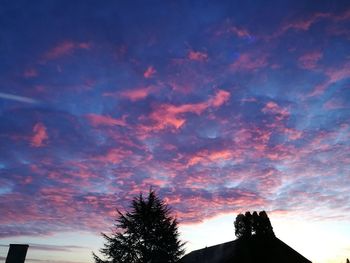 Low angle view of silhouette trees against sky at sunset