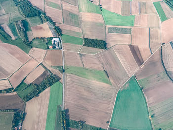 High angle view of agricultural field