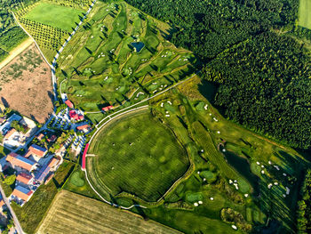 High angle view of agricultural field