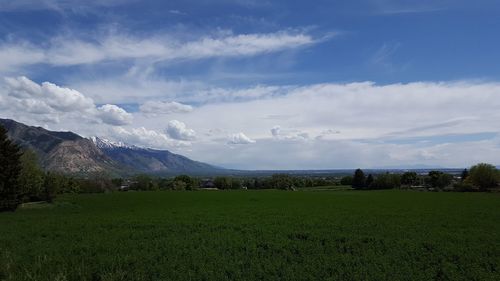 Scenic view of grassy field against cloudy sky