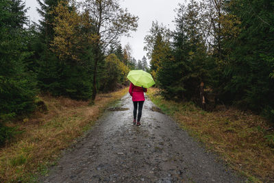 Rear view of woman walking on footpath in forest