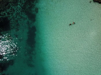 High angle view of swimming in sea