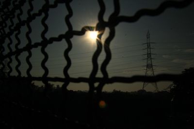 Low angle view of silhouette plants against sky during sunset