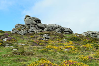 Low angle view of statue on rock against sky