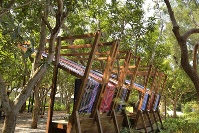 Low angle view of trees in park