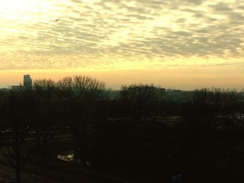 Silhouette trees against sky during sunset