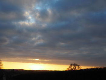 Silhouette trees on field against sky during sunset