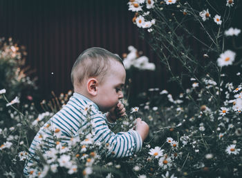 Rear view of boy looking at flower tree